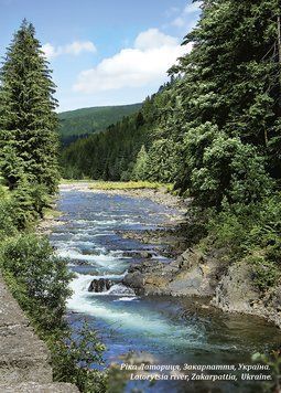 Ріка Латориця 846349997431 фото