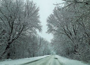 Зимова дорога 693 фото